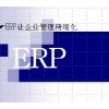 ERP管理軟件